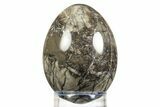 Polished Fossil Rugose Coral Egg - Alaska #308853-1